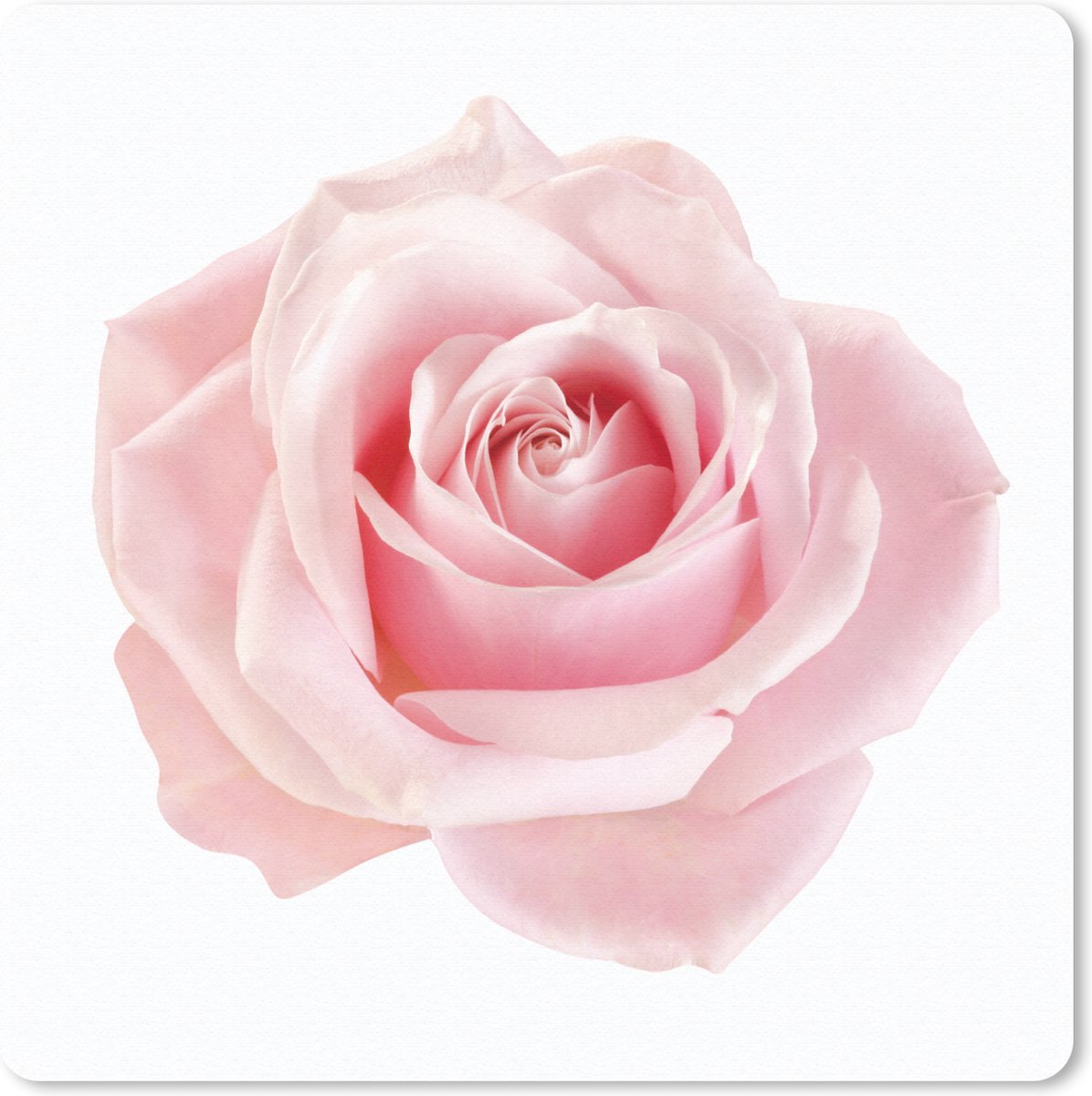 Muismat 30x30 cm - Mousepad Roos - Roze - Bloemen - Muismatten