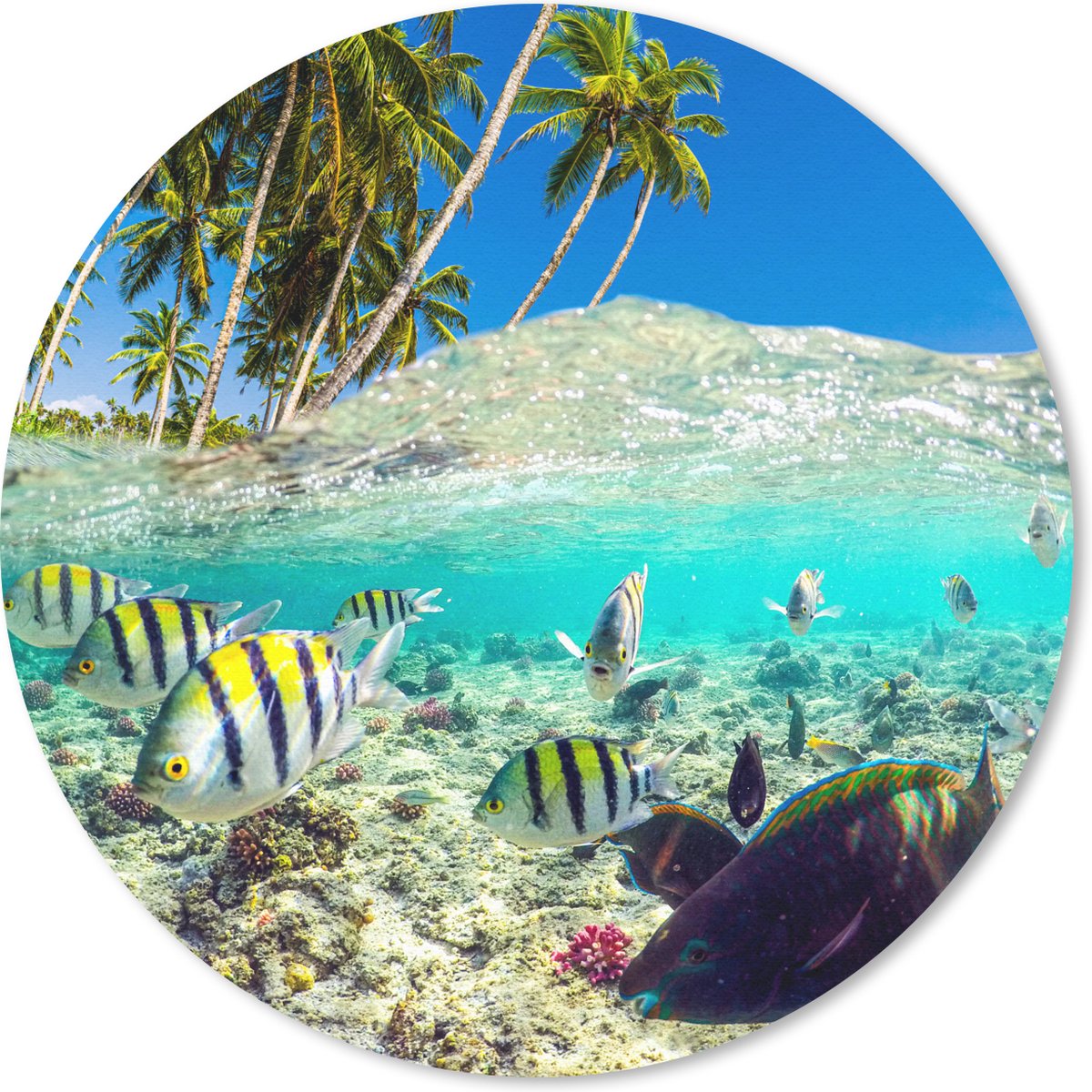 Muismat rond 40x40 cm - Mousepad Zee - Vissen - Koraal - Ronde muismatten