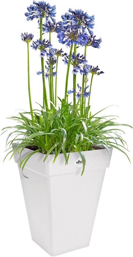 Elho Loft Urban Carré Haut 30 - Pot De Fleurs pour Extérieur - Ø 29.3 x H 41.3 cm - Blanc