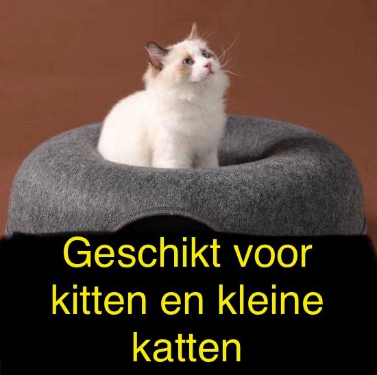 1212311_3