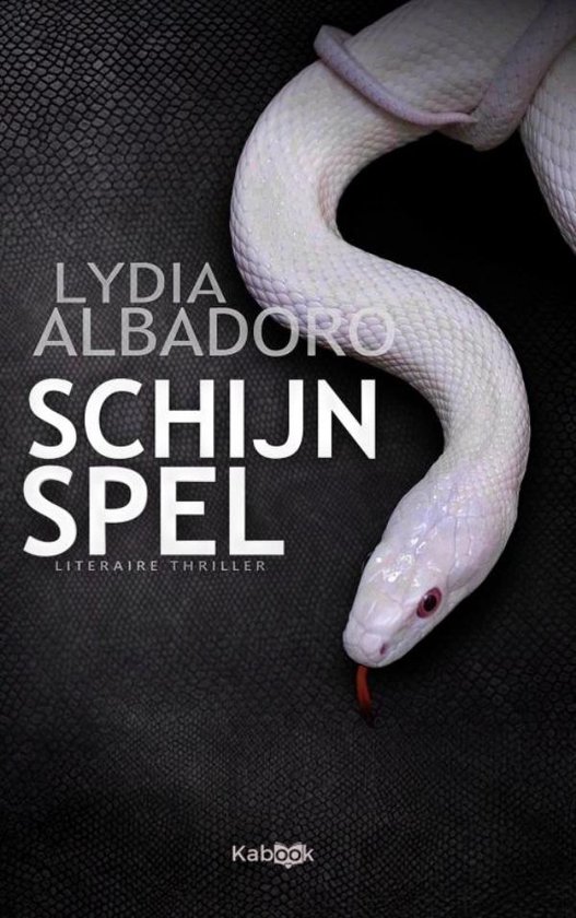 Schijnspel - cover