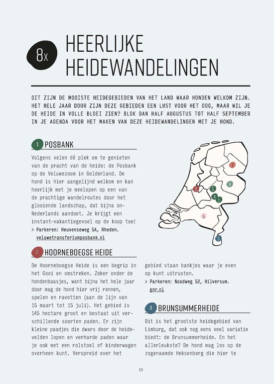 Eropuit met je hond