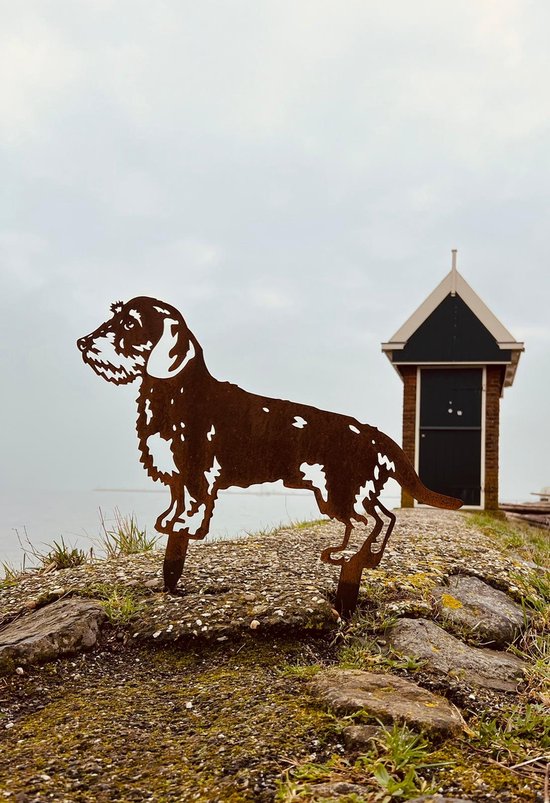 Metalendier - Tuinbeeld - Teckel - Cortenstaal - 63 x 35 cm - NL fabrikaat