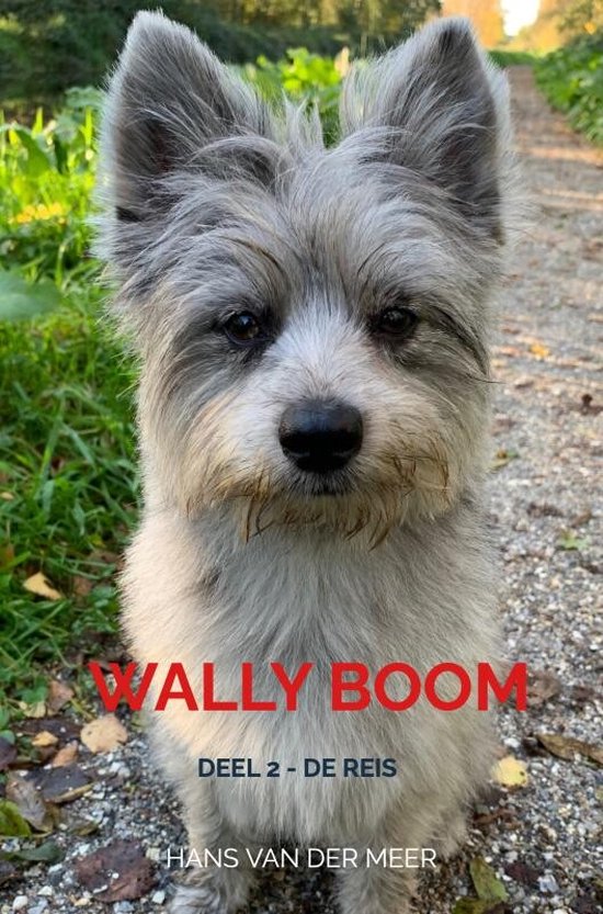 Wally Boom - cover