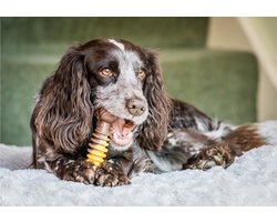 Nylabone Extreme chew textured bone cheese & steak large