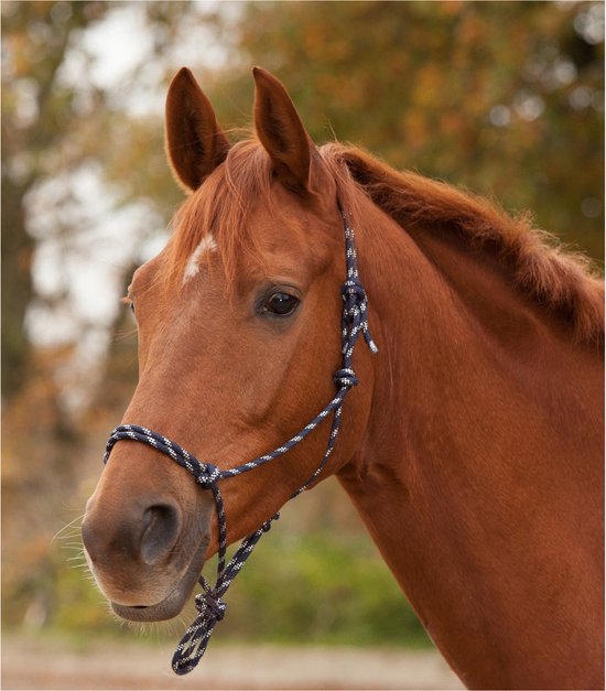 Foto: Waldhausen knoophalster zwart wit paardenhalster cob