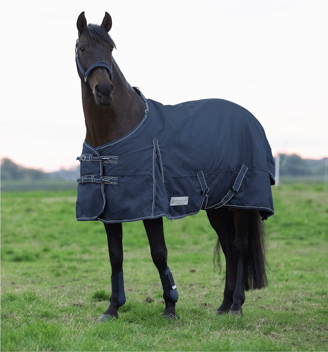 Waldhausen Outdoordeken Economic 200 Grams Blauw - Paardendekens - 175 200 Gram
