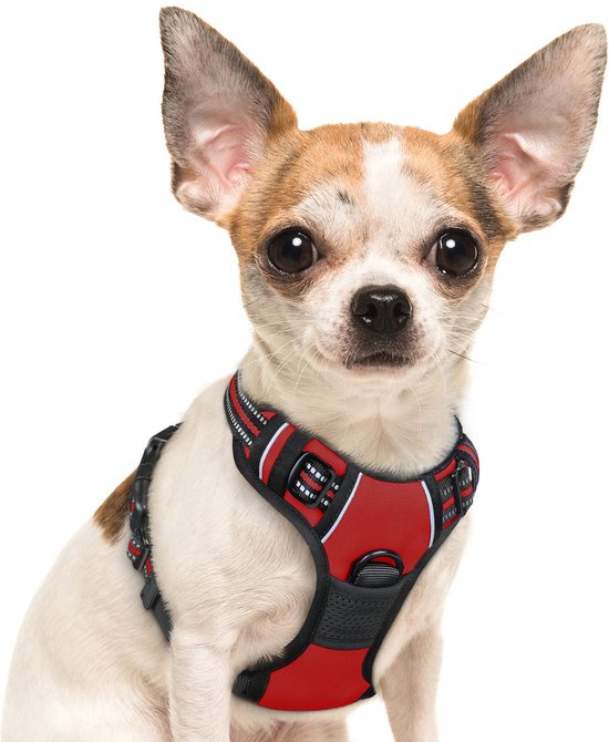 STUCH Hondentuigje, verstelbaar nylon harnas, gewatteerd, voor kleine, middelgrote en grote honden (beige, XXS