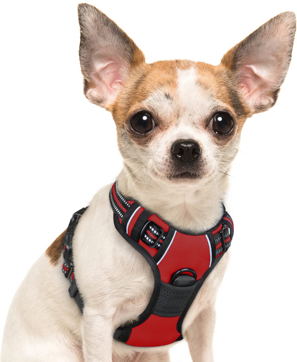 Bol.com JAXY Hondenharnas - Hondentuig - Hondentuigje Kleine Hond - Y Tuig Hond - Harnas Hond - Anti Trek Tuig Hond - Reflectere... aanbieding