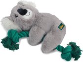 AFP Safari - Corde Cuddle Koala