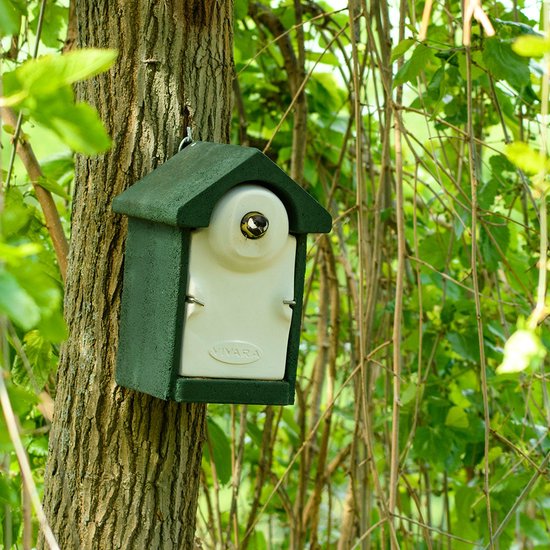 Nestkast Sevilla WoodStone ovale invliegopening Groen