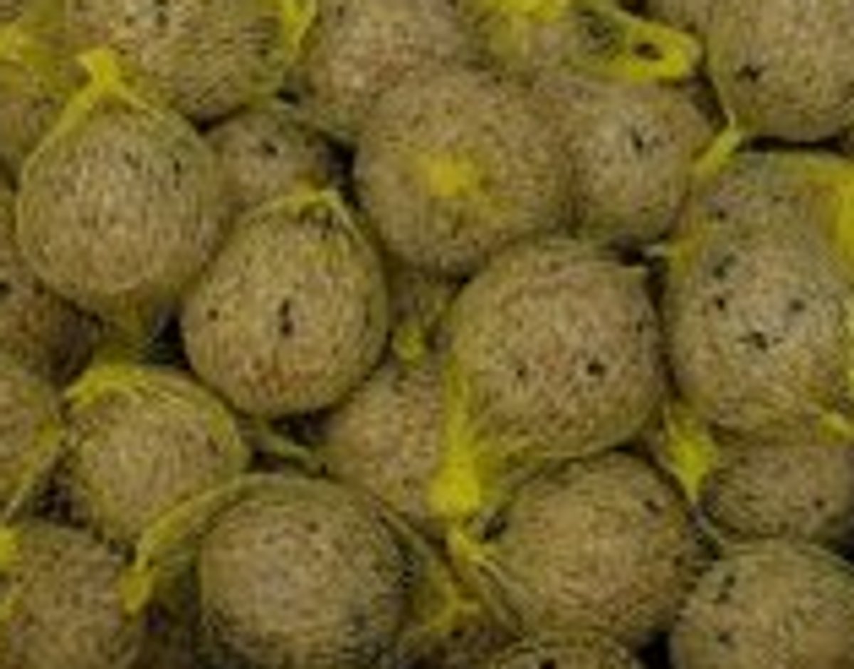 Hadivo 30 Zomer Mezenbollen In emmer