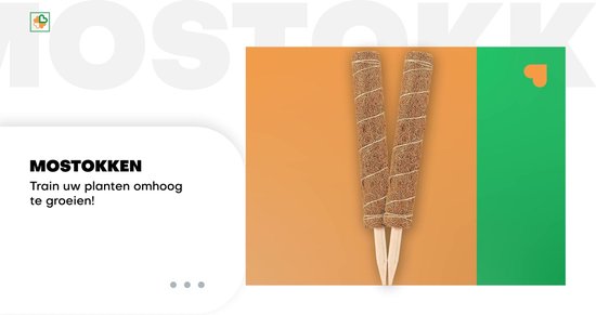 Bloomin Mosstok - Verlengbaar tot 150cm - Mosstok voor Planten - Plantensteun - Mosstok Verlengbaar - Plantenstok - Mosstock Monstera - Plantenrek Buiten - Mosstok 50CM - 4 stuks