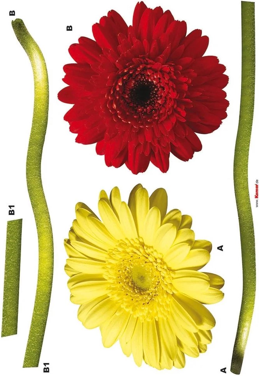 Komar - Muursticker - Gerbera - Zelfklevend - Muurdecoratie - Stickers - 50 x 70 cm