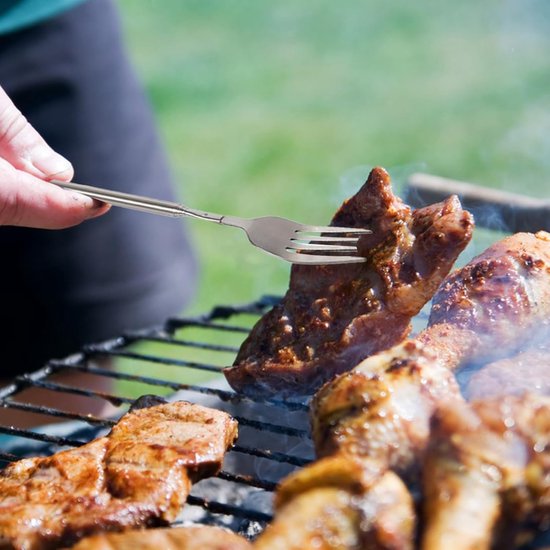 Cobb Bakplaat met extra vork/handgreep voor veelzijdig koken - XXL water