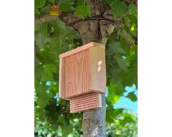 De Blije Egel - Vleermuiskast - 100% Douglas