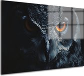 Uil schilderij - Dier schilderijen glas - Glasschilderijen Veren - Klassieke schilderijen - Schilderijen plexiglas - Schilderijen acrylglas 150x100 cm
