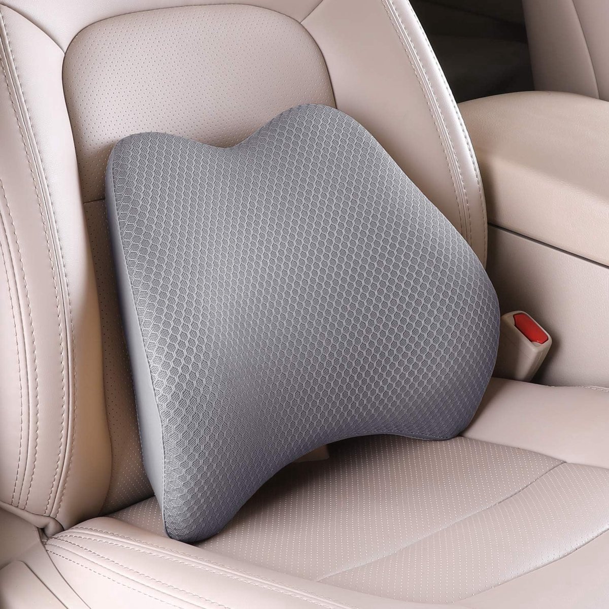 Goedkoopste Ergonomisch Lendensteunkussen van Traagschuim - Rugpijn Verlichting - Geschikt voor Auto en Thuis - Zwart
