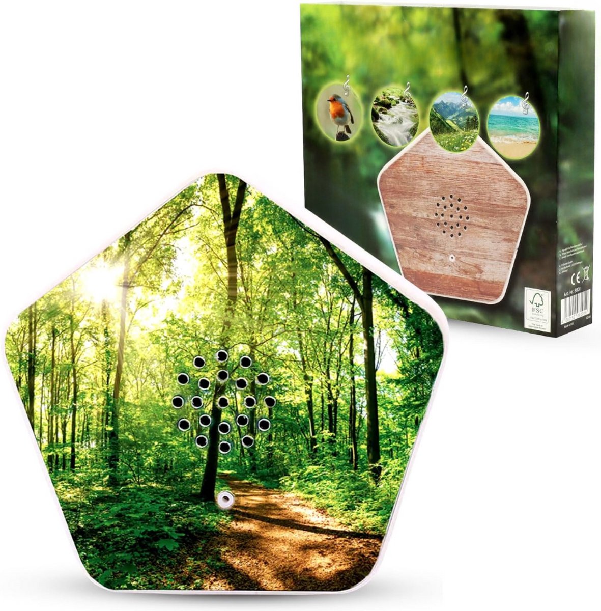 Het onzichtbare licht - Hartman, Evert: 9789060695043