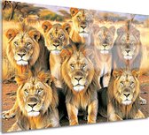 Peintures sur verre Lion - Peinture sur verre Animaux - Peinture sur verre Prairie - Décoration murale moderne - Peinture sur plexiglas - Décoration chambre verre acrylique 75x50 cm