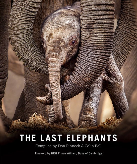 The Last Elephants - cover
