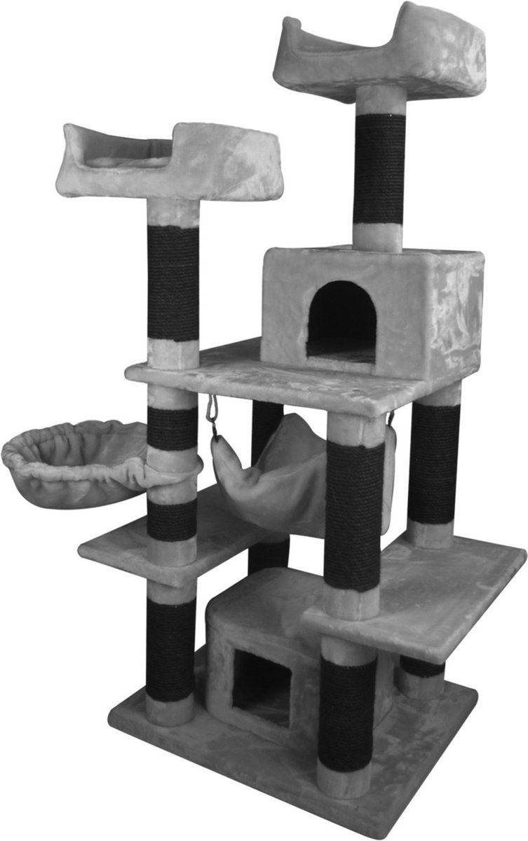 Paypoq, kamar, poyabzal, mushuk fotosurati Paypoq, kamar, poyabzal, mushuk fotosurati