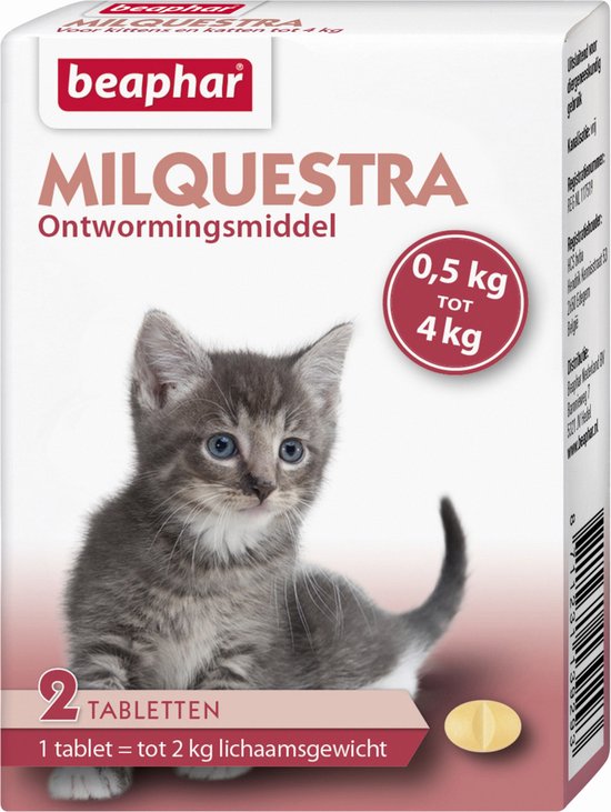 Foto: Beaphar milquestra kleine kat kitten 0 5 tot 4 kg 2 tabletten