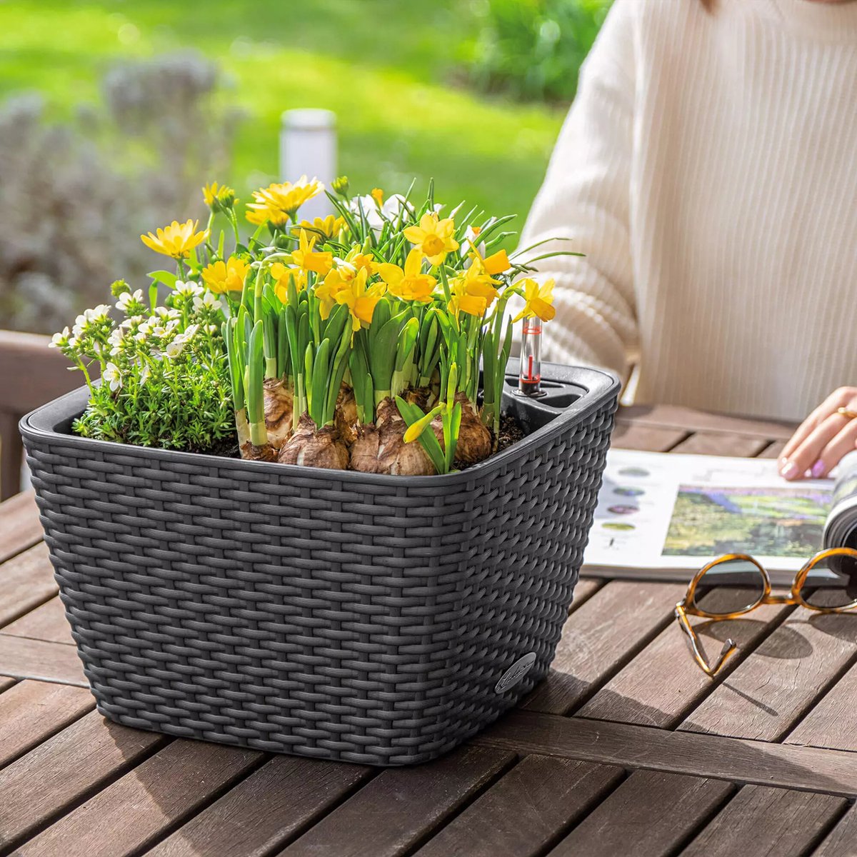 Lechuza Bacino Cottage - Jardinière - pot intérieur amovible
