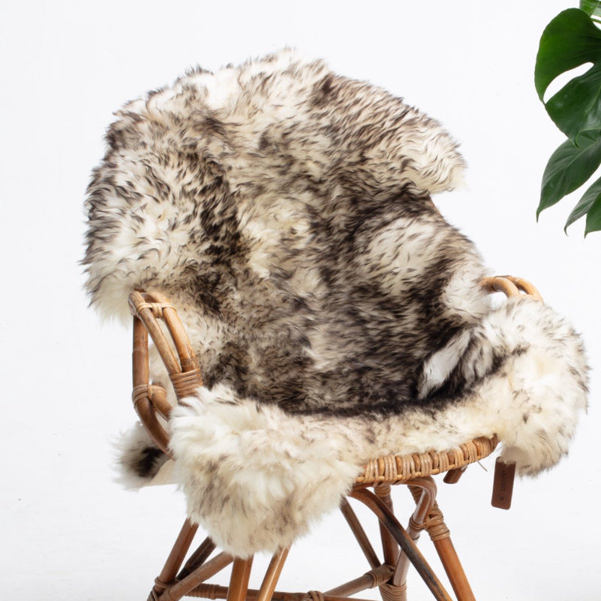 SHEEPY® | Schapenvacht | Magnus (Zwart Wit) L (105-110cm) - Sheepy.cc