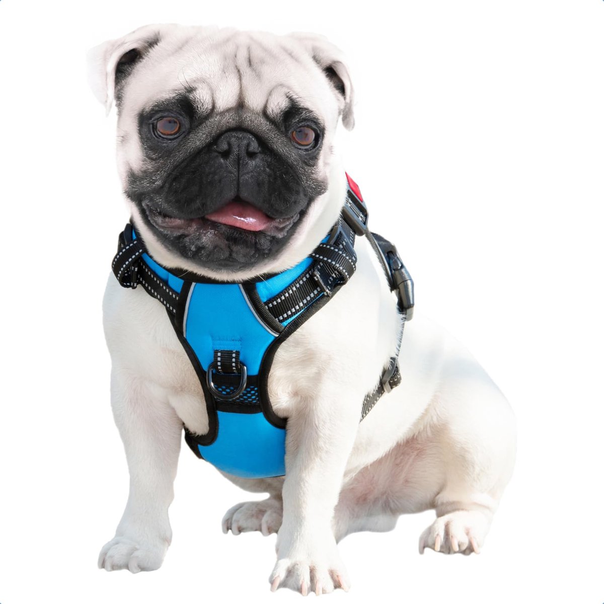 JAXY Hondenharnas - Hondentuig - Hondentuigje Kleine Hond - Y Tuig Hond - Harnas Hond - Anti Trek Tuig Hond - Reflecterend - Maat S - Blauw