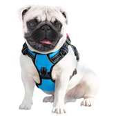 JAXY Harnais pour chien - Harnais pour chien - Harnais pour petit chien - Harnais en Y pour chien - Harnais pour chien - Harnais anti- Trek pour chien - Réfléchissant - Taille S - Blauw