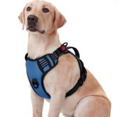 JAXY Harnais pour chien - Harnais pour chien - Harnais pour petit chien - Harnais en Y pour chien - Harnais pour chien - Harnais anti- Trek pour chien - Réfléchissant - Taille XL - Blauw