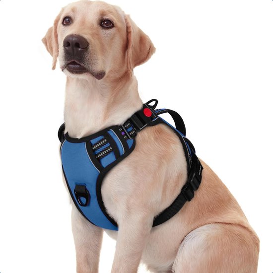 JAXY Hondenharnas - Hondentuig - Hondentuigje Kleine Hond - Y Tuig Hond - Harnas Hond - Anti Trek Tuig Hond - Reflecterend - Maat XL - Blauw