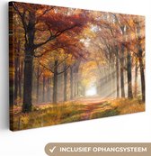 Canvas schilderij - Canvas doek - Bos - Herfst - Zon - Natuur - Schilderijen op canvas - 90x60 cm - Wanddecoratie - Foto op canvas - Slaapkamer decoratie