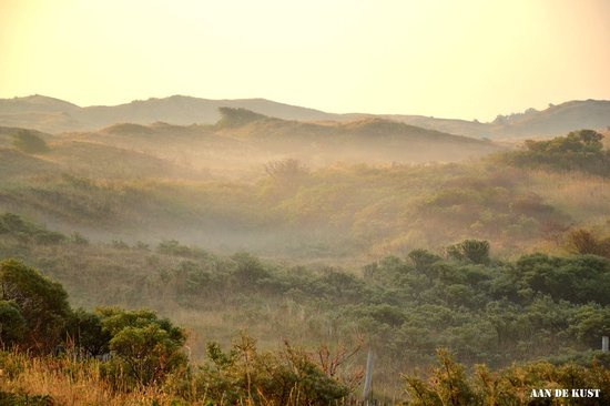 Digital heat glas infrarood verwarmingspaneel met afbeelding naar keuze 250 W