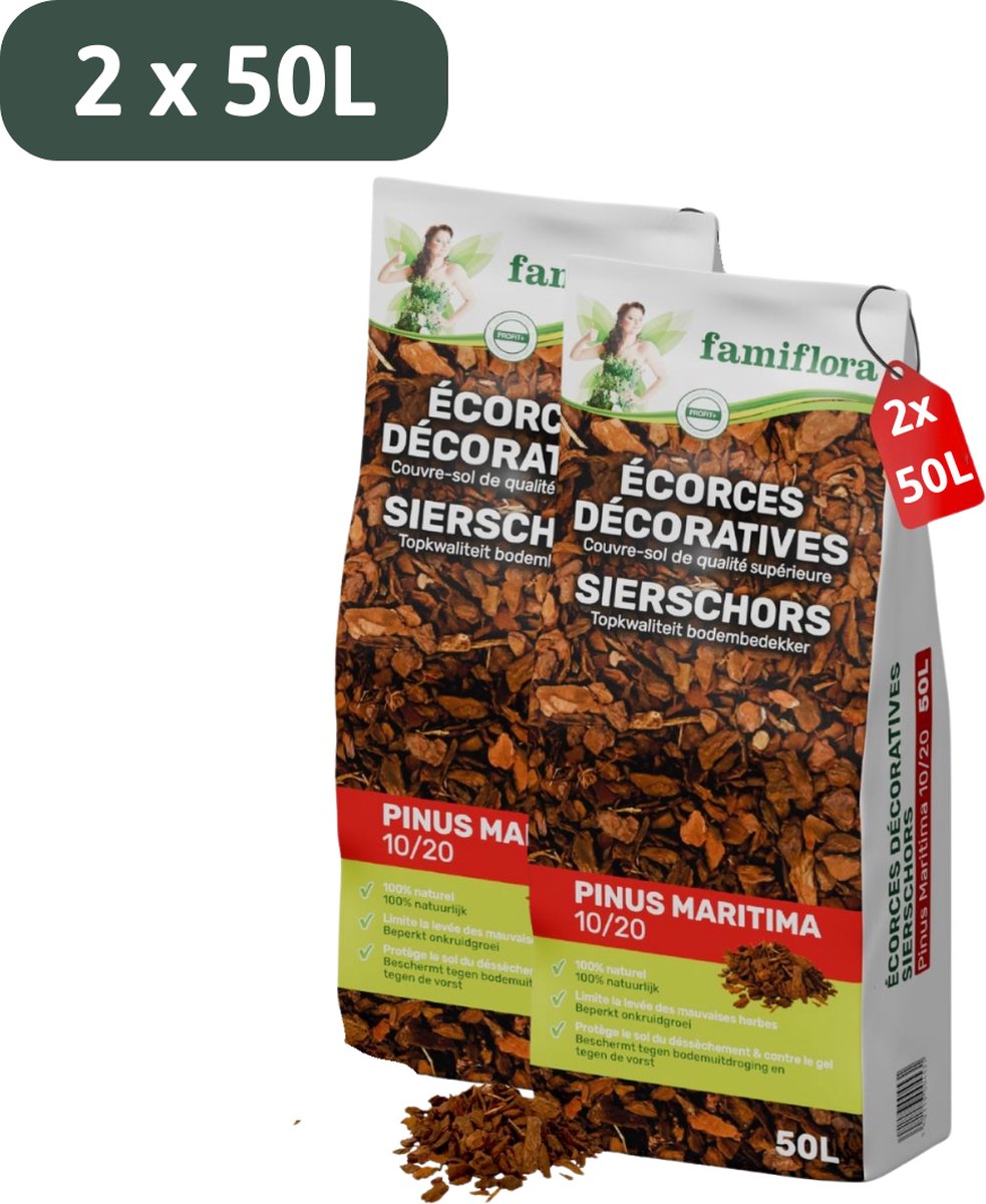 Famiflora sierschors 20-40 (100 l) Pinus maritima - 2 x 50L