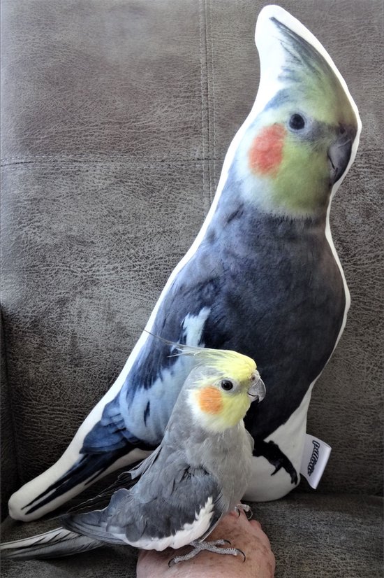 PillowBuddies - Oreiller câlin avec propre impression - 30 cm - de votre animal de compagnie, visage, véhicule, etc. - avec eigen photo - Coussin pour chien - Coussin pour chat