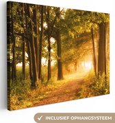 Canvas schilderij 80x60 cm - Wanddecoratie Bos - Bomen - Zonlicht - Herfst - Bospad - Natuur - Muurdecoratie woonkamer - Slaapkamer decoratie - Kamer accessoires - Schilderijen