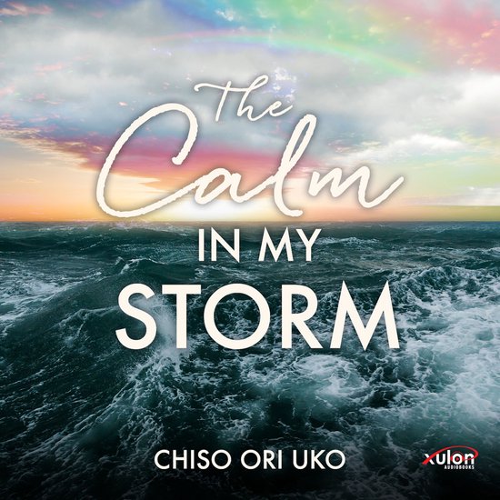 The Calm in My Storm - cover