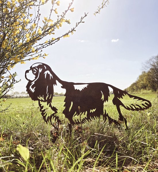 Foto: Inovra plus miniatuur feendeur voor in de tuin en bomen houten boomdecoratie voor feentuin miniatuur elfendeur als kabouterdeur tuindecoratie voor buiten standbeelden voor bomendecoratie