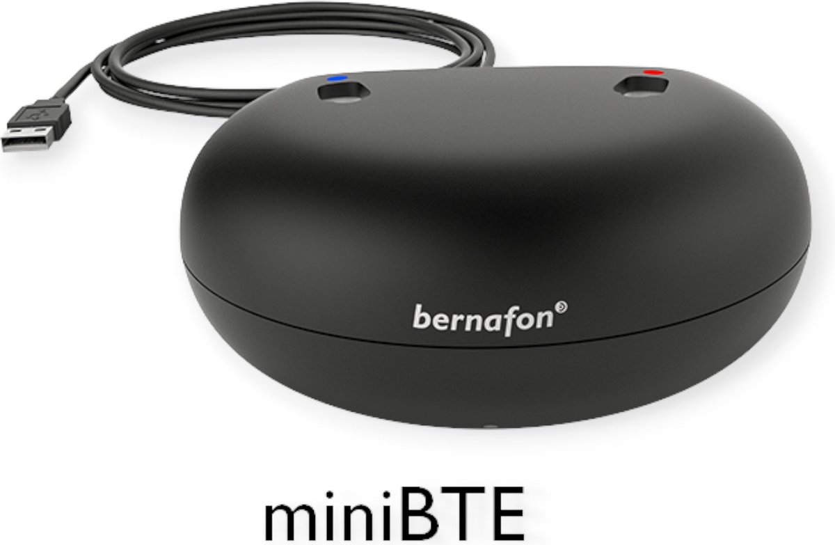 Goedkoopste Bernafon Charger voor MiniBTE R