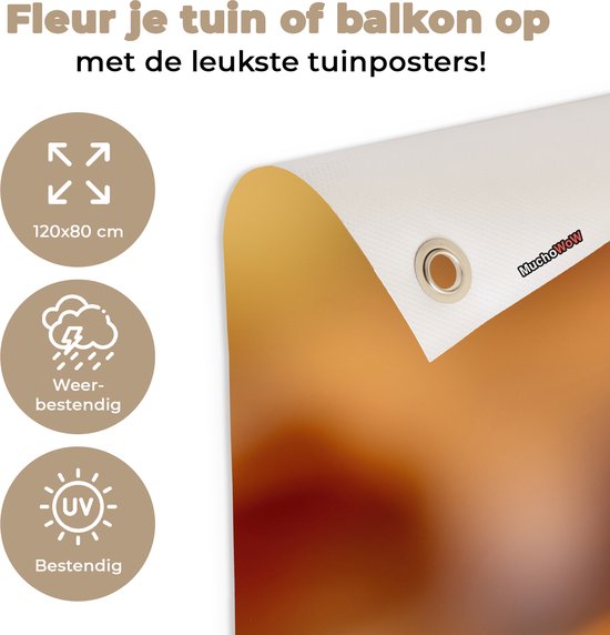 Tegel met informatie over tuinposters: maten, weerbestendig en UV-bestendig.
