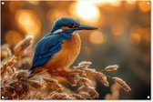 Tuinposter 120x80 cm - Tuindecoratie IJsvogel - Herfst - Vogels - Zon - Natuur - Herfsttakken - Poster voor in de tuin - Buiten decoratie - Schutting tuinschilderij - Tuindoek muurdecoratie - Wanddecoratie balkondoek