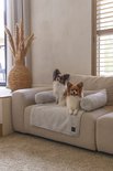 Twee papillon hondjes zitten op een lichtgrijs gestreept kleed op een beige bank. Het kleed ligt tussen twee ronde, geribde kussens.