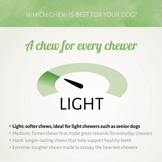 Afbeelding met een wijzerplaat die naar 'LIGHT' wijst. Met tekst 'WHICH CHEW IS BEST FOR YOUR DOG?' en 'A chew for every chewer'.