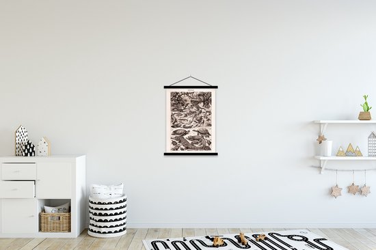 Posterhanger avec affiche - Affiche scolaire - Reptiles - Animaux - Zwart - Wit - 60x80 cm - Lattes noires