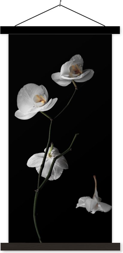 Support pour affiche avec affiche 90x180 cm - Affiche scolaire - Orchidée - Fleurs - Zwart - Wit - Nature morte - Affiche textile - Lattes noires