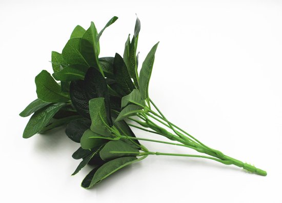 Alipis