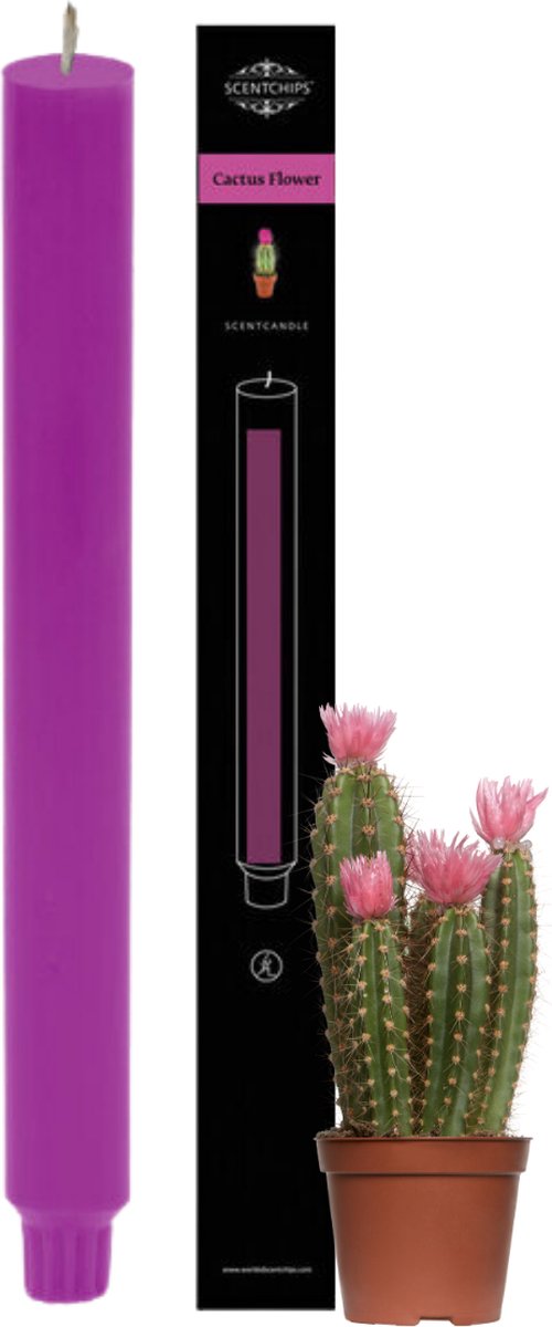 Scentchips® Cactusbloem Geurkaars - Dinerkaars - Geurkaarsen - Geurkaarsen Geschenkset - Set van 2 - 25 Branduren
