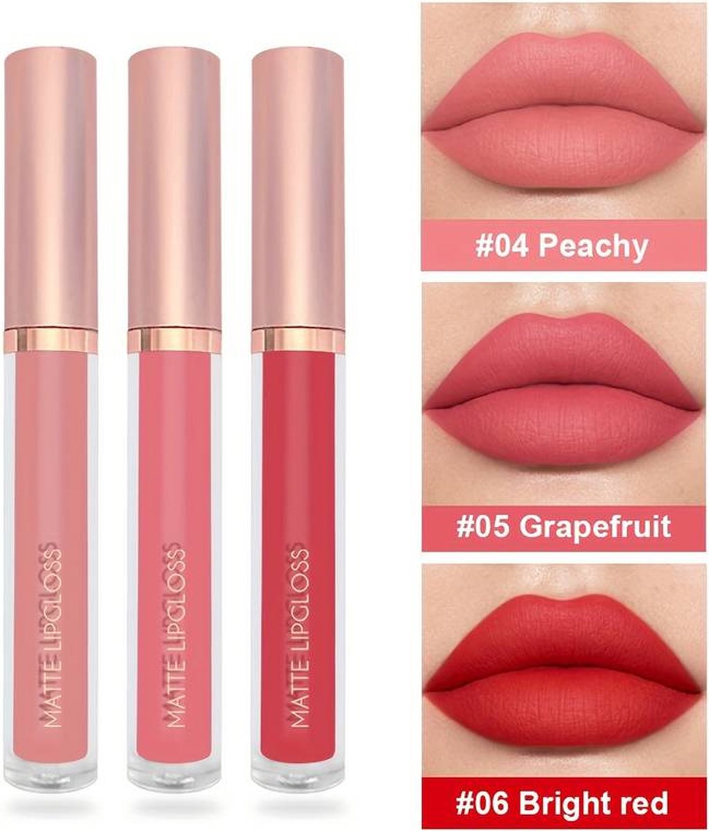 Niet Lipstick Matte Set van 3 Kleuren Lipgloss Langhoudend Make Up kleur B